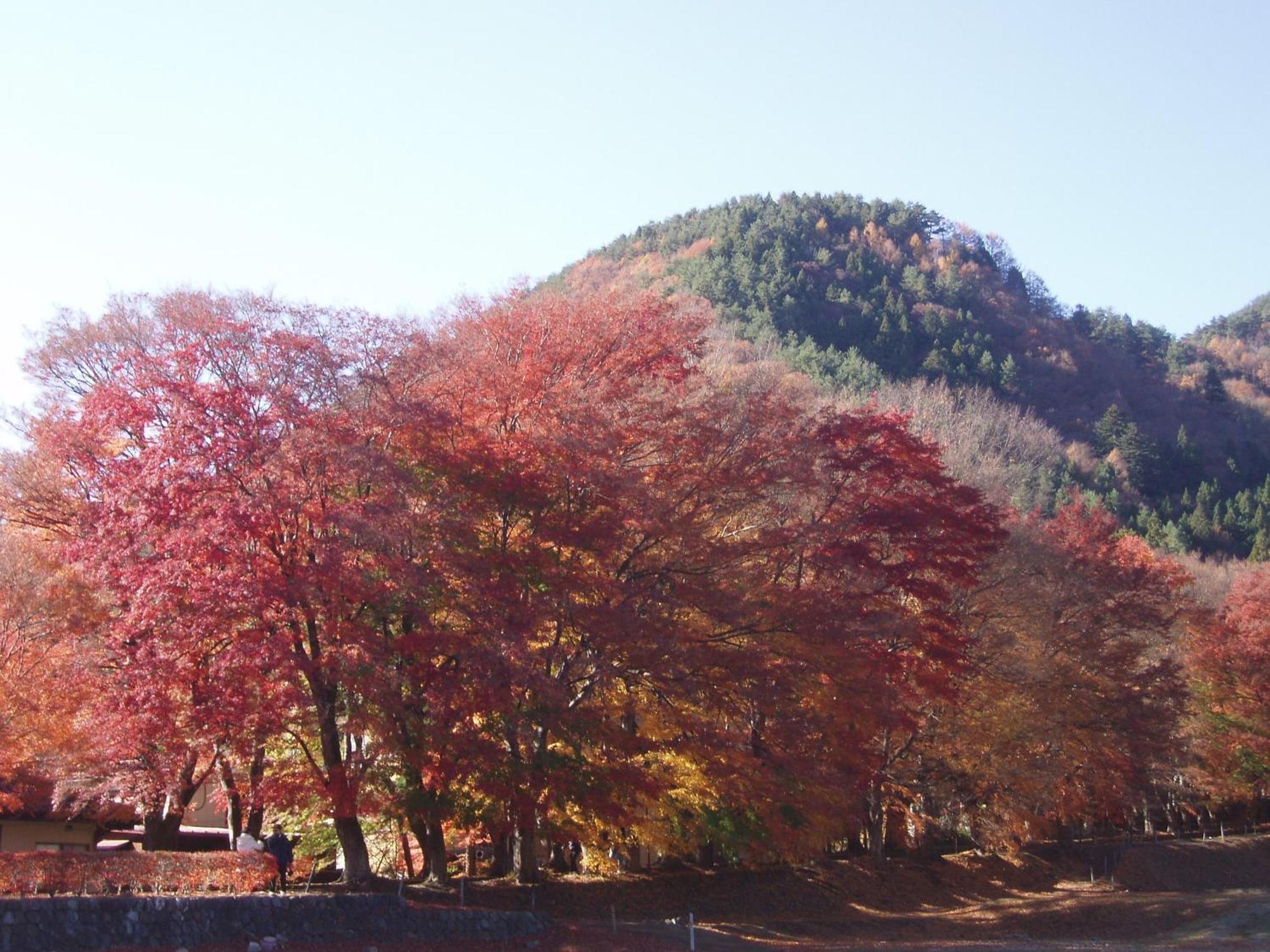 Komaya Ryokan Fujikawaguchiko Exterior photo
